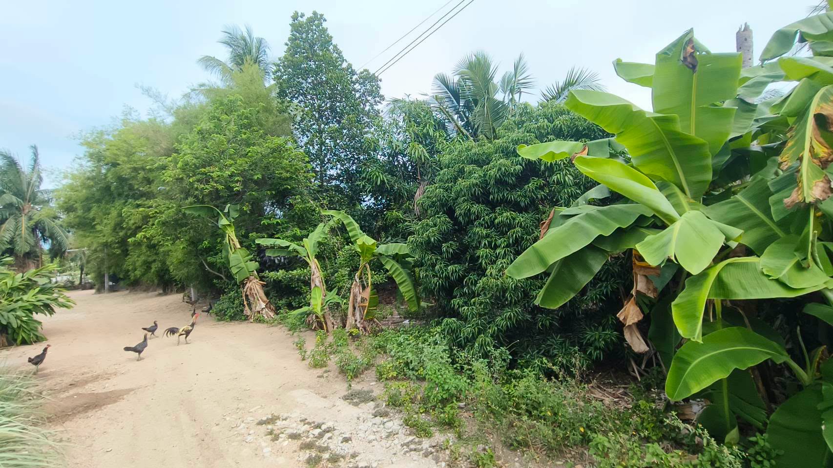 Land for sale in Huai Yai