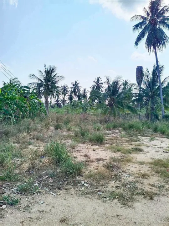 Land for sale in Huai Yai