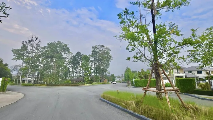 Photo from a listing at Life in the Garden