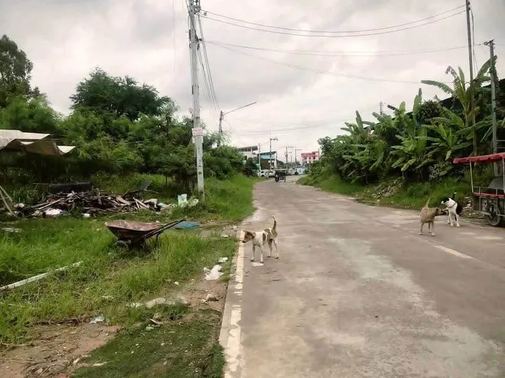 Land for sale in บางละมุง, ชลบุรี